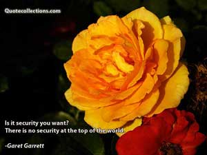 Garet Garrett Quotes 4